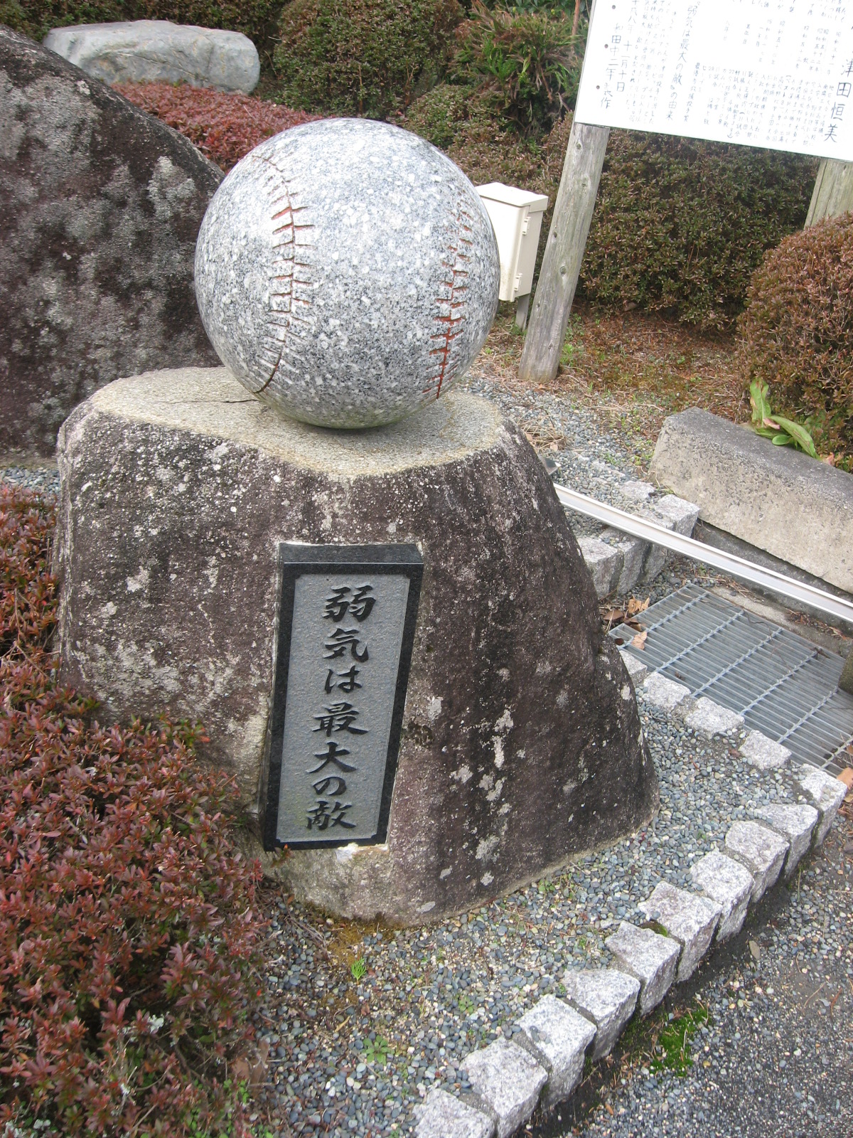 弱気は最大の敵 Ken Sランニング日誌